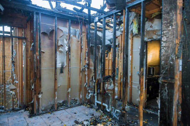 Professional Fire Damage Removal technician working in Munfordville, KY